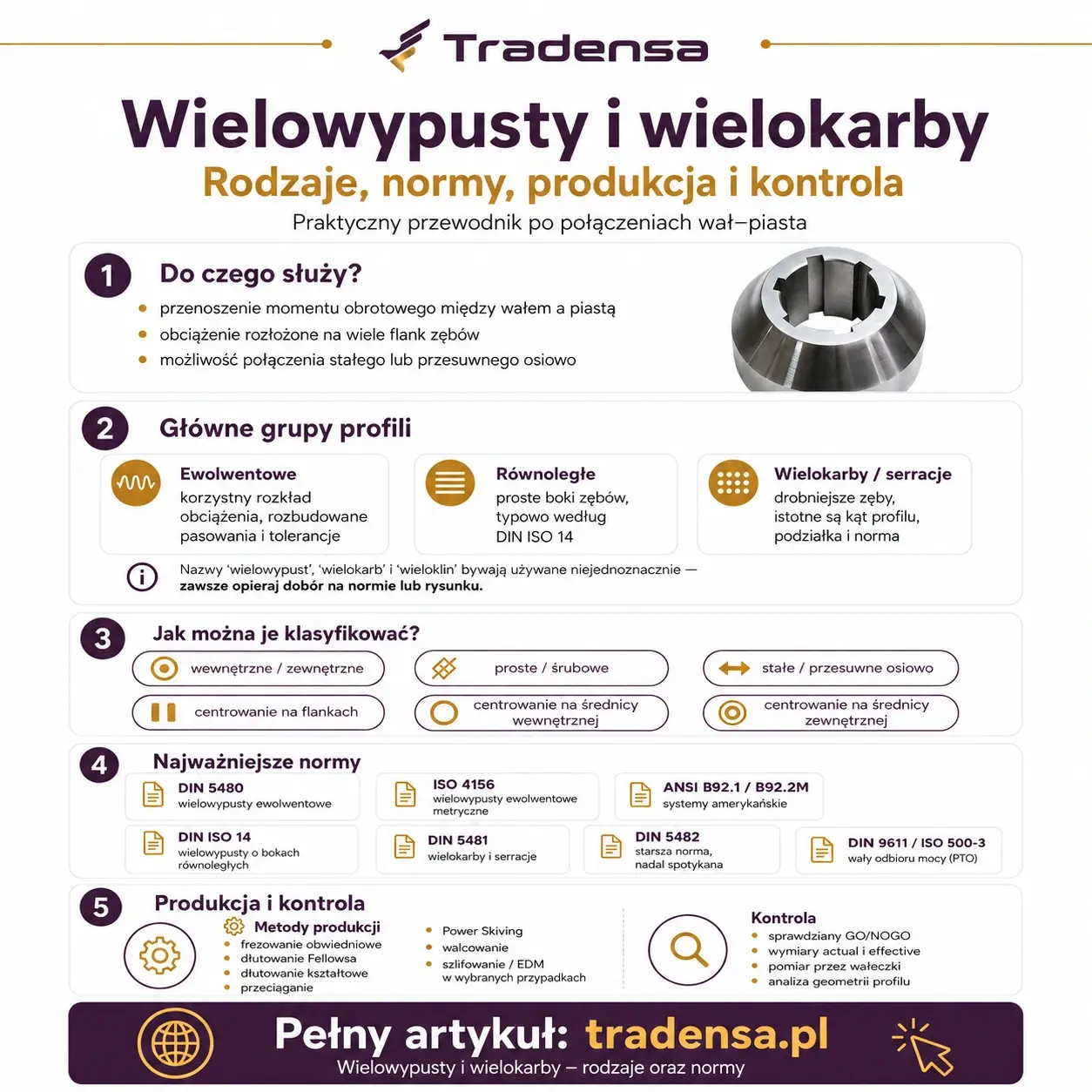 Infografika Tradensa – wielowypusty i wielokarby, rodzaje i podstawowe informacje